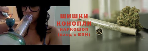 спиды Рославль