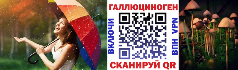 Купить  Ачинск  Галлюциногенные грибы Cubensis 